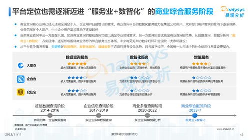 透视用户需求深挖服务潜力 2022中国商业查询行业洞察 商务信息咨询